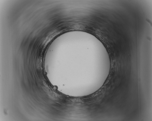 X0000103400146200809191530