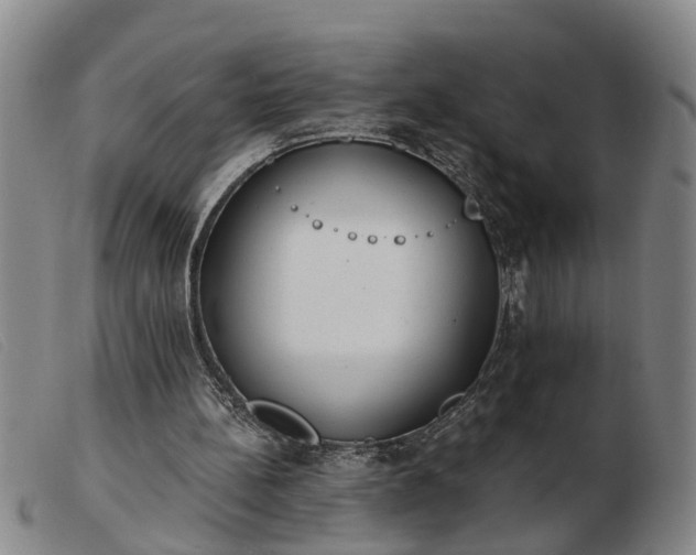 X0000103400148200809191530