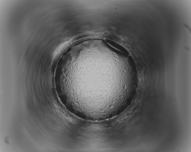 X0000103400149200809191530