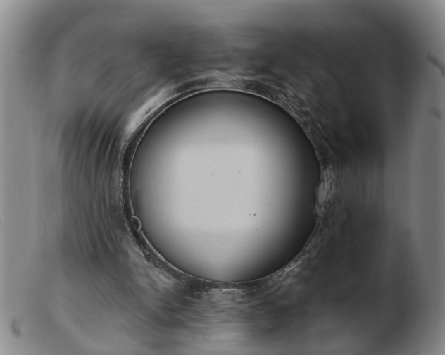 X0000103400150200809191530