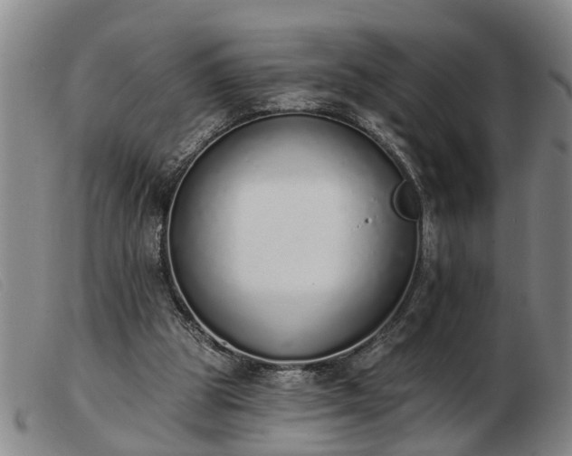 X0000103400153200809191530