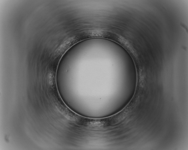 X0000103400161200809191530