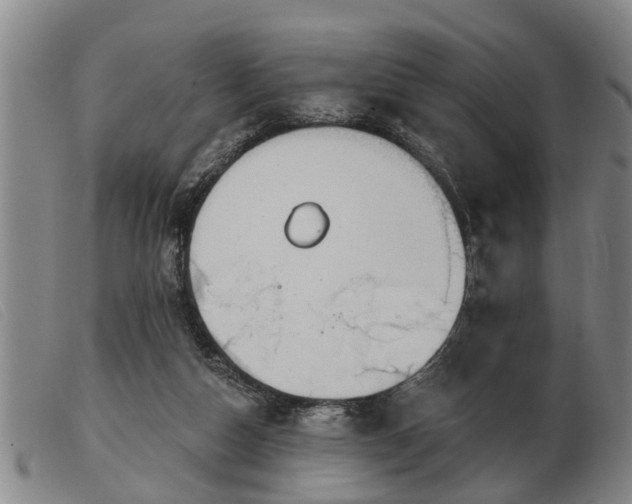 X0000103400162200809191530