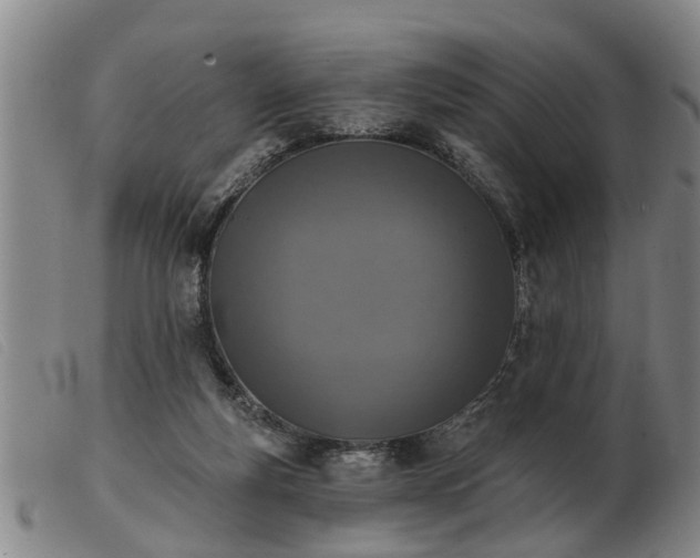 X0000103400163200809191530