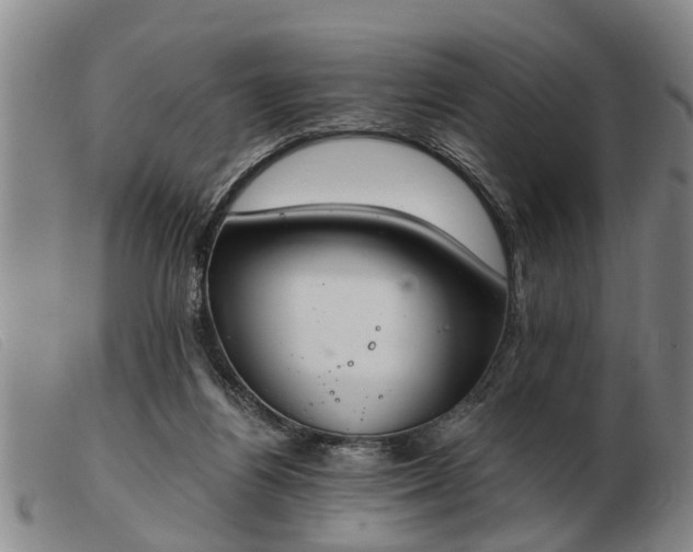 X0000103400164200809191530