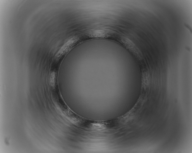 X0000103400167200809191530