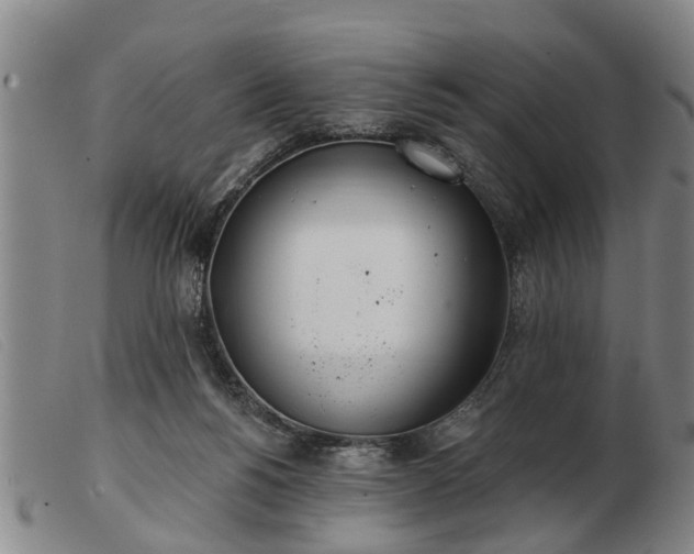 X0000103400168200809191530