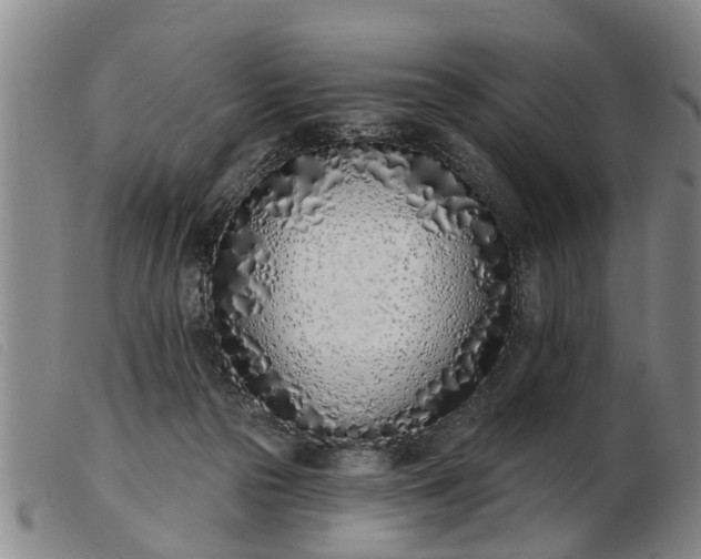 X0000103400169200809191530