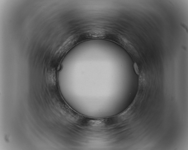 X0000103400170200809191530