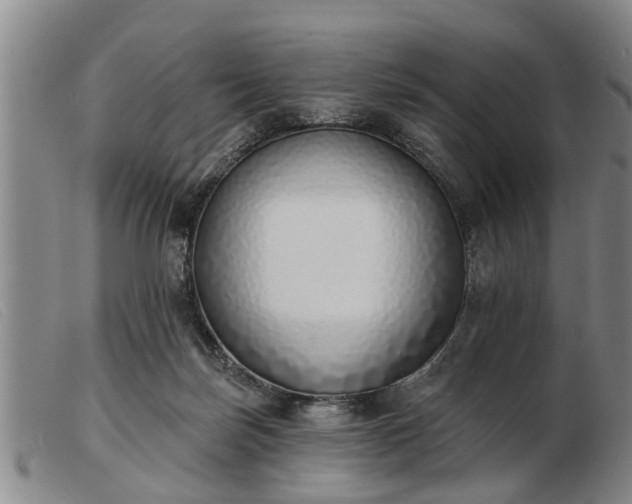 X0000103400171200809191530