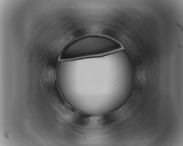 X0000103400172200809191530