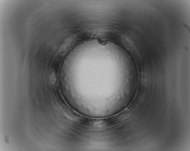 X0000103400173200809191530