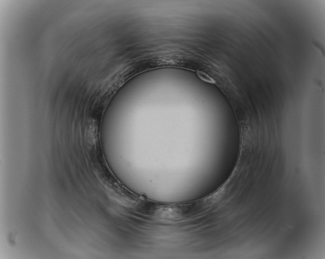 X0000103400174200809191530