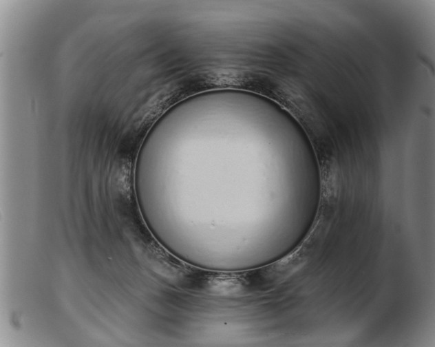 X0000103400175200809191530