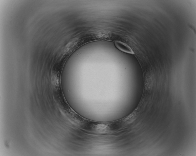 X0000103400176200809191530