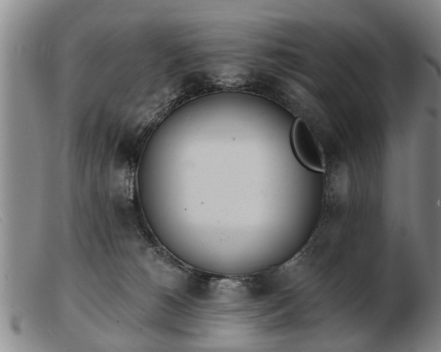 X0000103400180200809191530