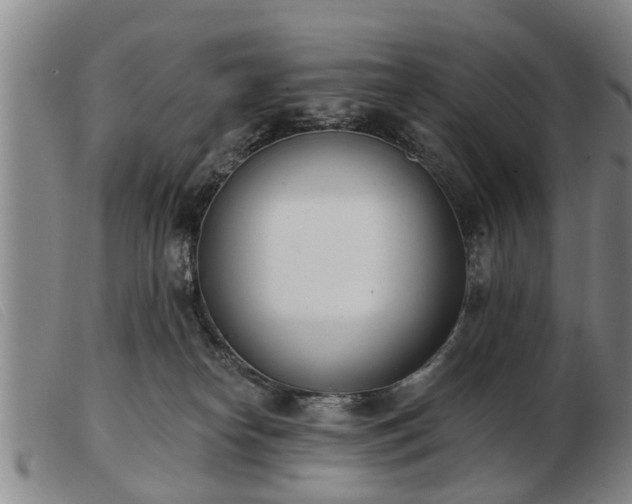 X0000103400182200809191530