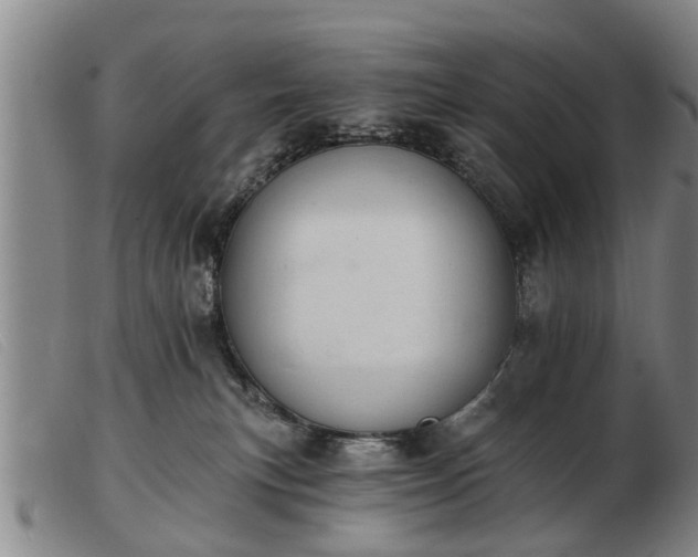 X0000103400183200809191530