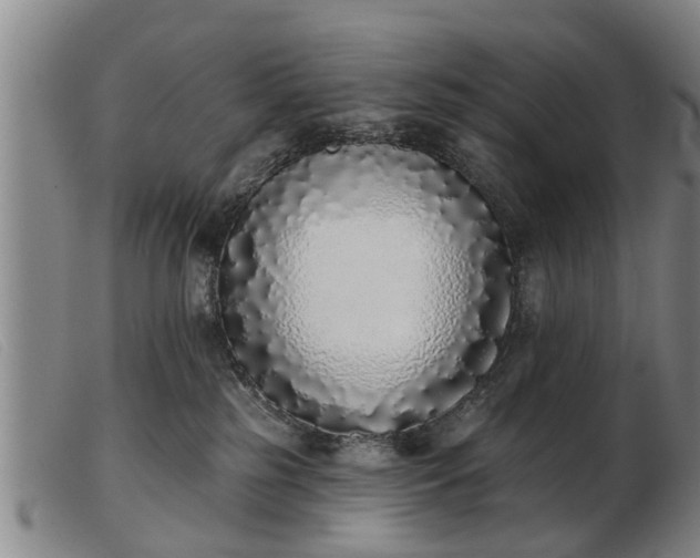 X0000103400185200809191530