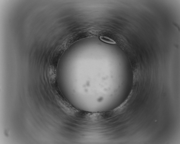 X0000103400186200809191530