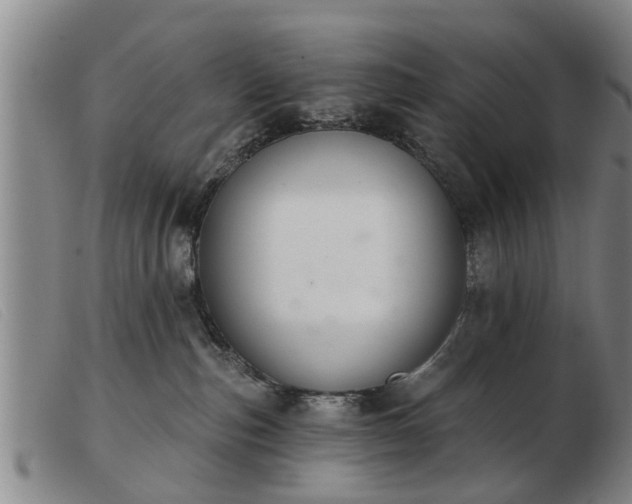 X0000103400187200809191530