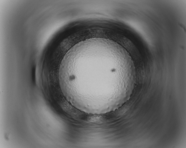 X0000103400189200809191530