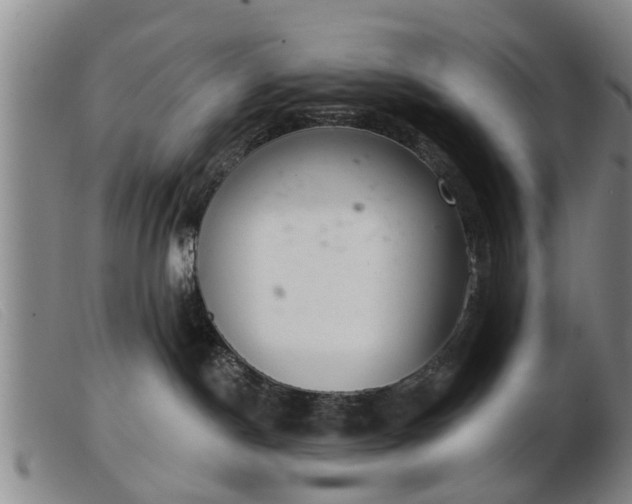 X0000103400190200809191530