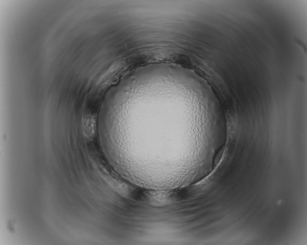 X0000103400191200809191530