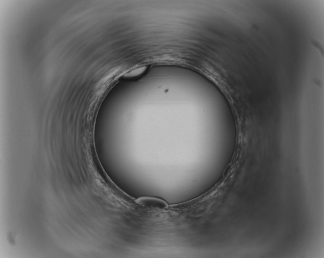 X0000103400193200809191530