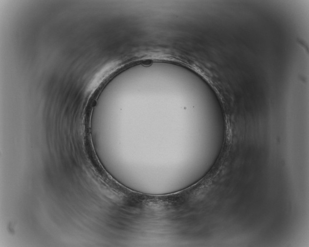 X0000103400199200809191530