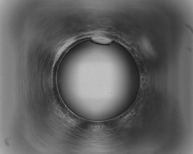 X0000103400200200809191530