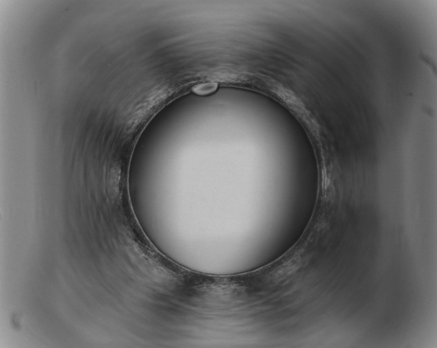 X0000103400201200809191530