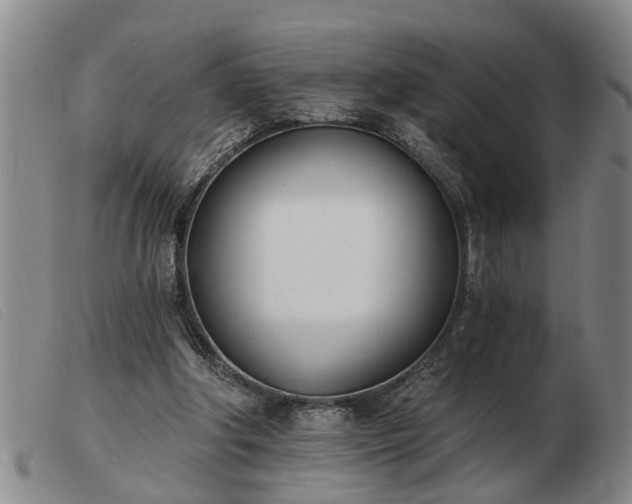 X0000103400202200809191530