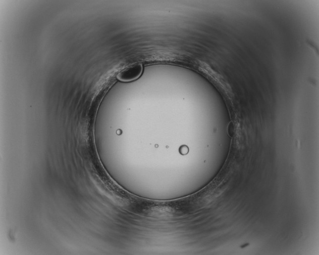 X0000103400203200809191530