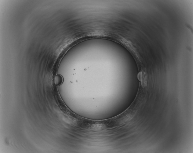 X0000103400204200809191530