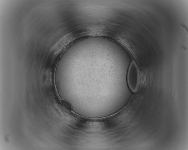 X0000103400205200809191530