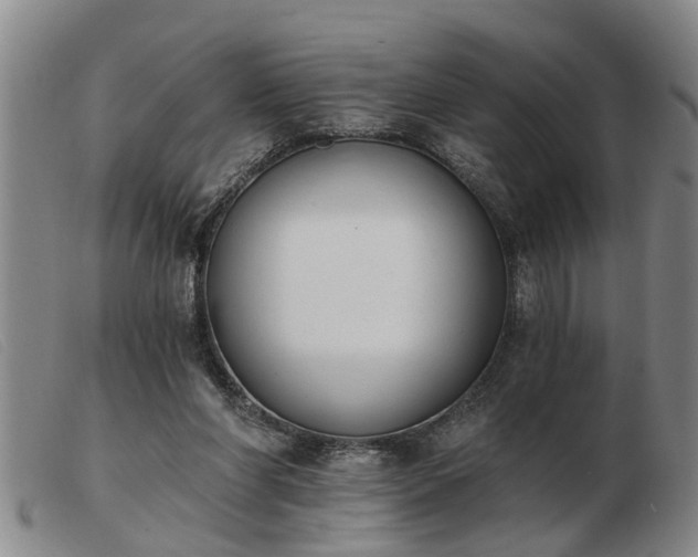 X0000103400206200809191529