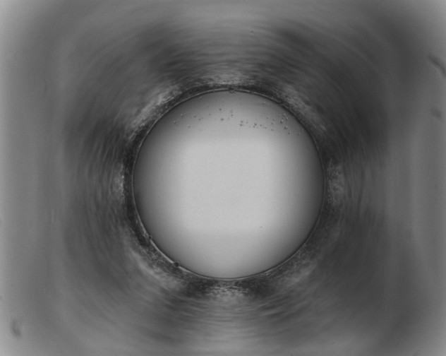 X0000103400207200809191529