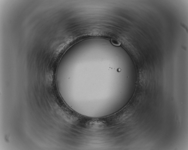 X0000103400208200809191529