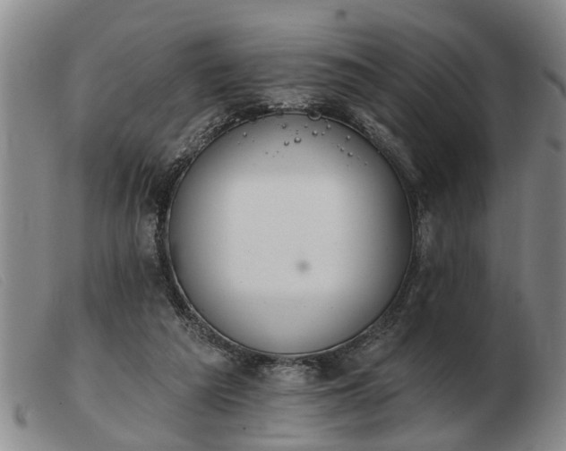 X0000103400209200809191529