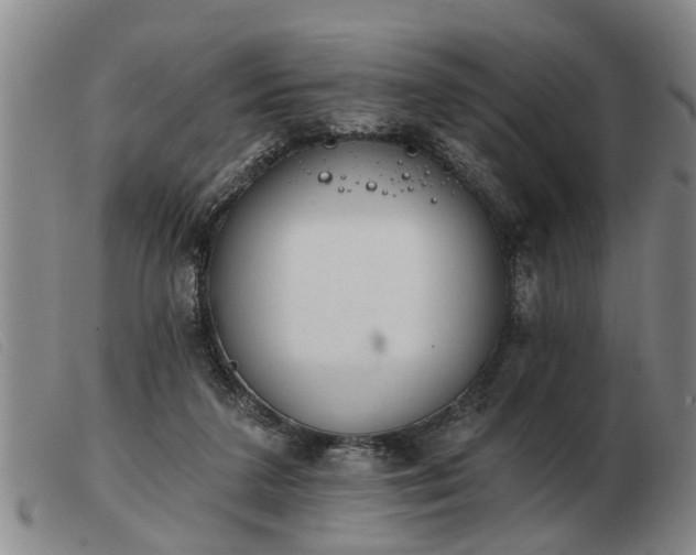 X0000103400211200809191529