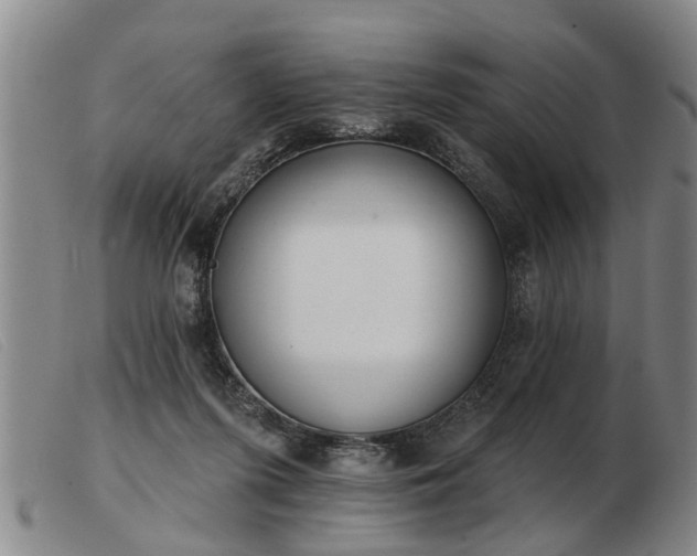 X0000103400215200809191529