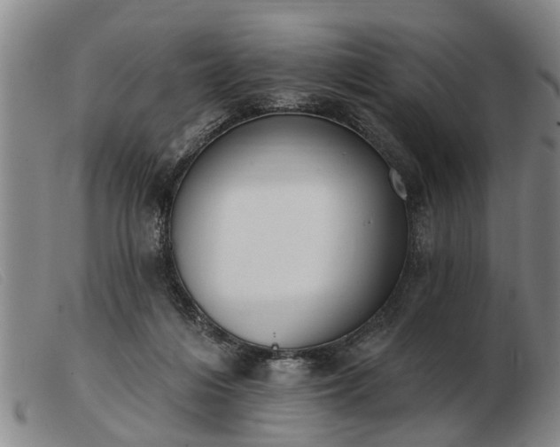 X0000103400216200809191529