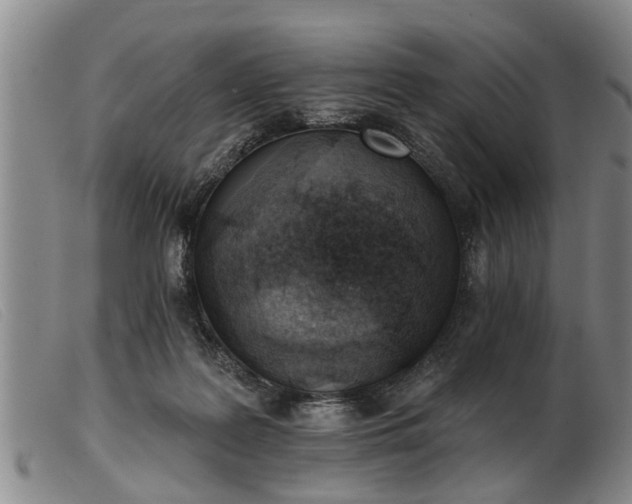 X0000103400219200809191529