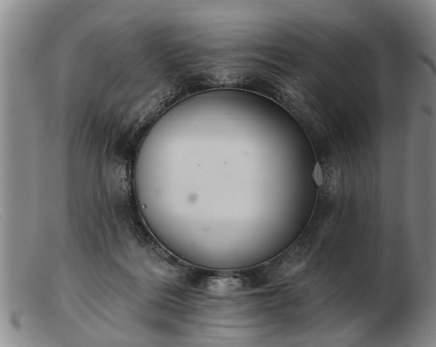 X0000103400220200809191529