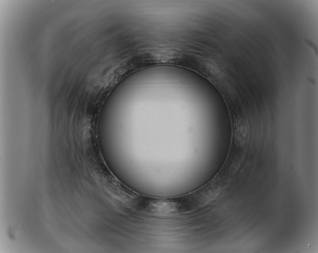 X0000103400221200809191529