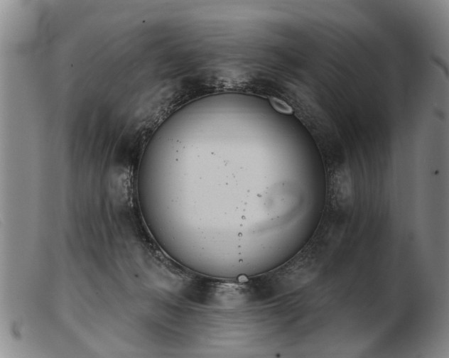 X0000103400222200809191529