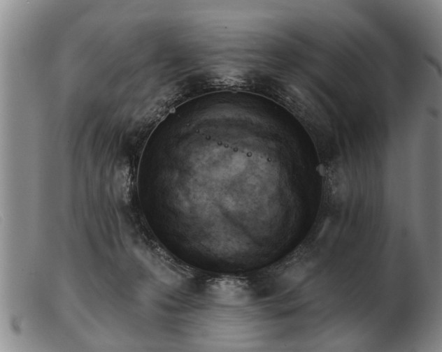 X0000103400223200809191529