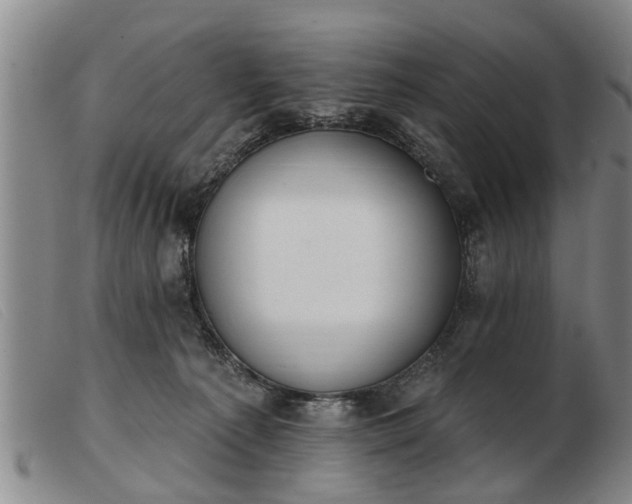 X0000103400225200809191529