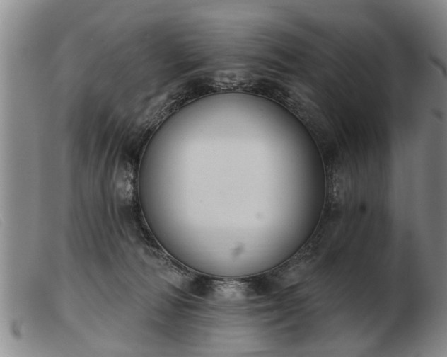 X0000103400226200809191529